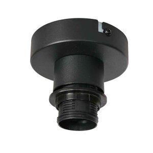 Steinhauer Artikel von Steinhauer Deckenleuchte Bloeba  4372ZW