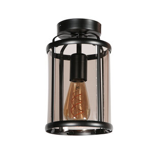 Steinhauer Artikel von Steinhauer Deckenleuchte Pimpernel  5973ZW