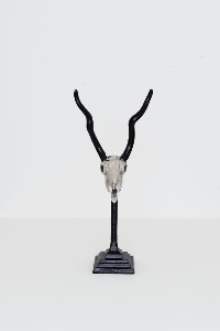 Holländer Leuchten Figuren von Holländer Leuchten Dekoobjekt ANTILOPE KLEIN 368 7004