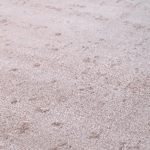 Eichholtz Outdoor-Teppich von Eichholtz Vorleger Liam 300 x 400 cm 112240