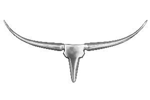Serie BULL VON CASA ELITE von Casa Élite von Casa Élite Wanddekoration Geweih BULL 20075