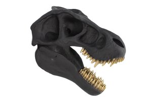 Casa Élite von Casa Élite Wanddeko-Skulptur T-REX  48059