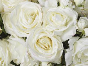 Eichholtz&nbsp;Pfingstrosenstrauß real touch 48 Stück&nbsp;119279