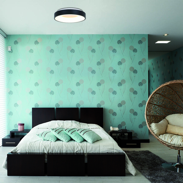 Deckenleuchte Ringlede  der Firma Steinhauer