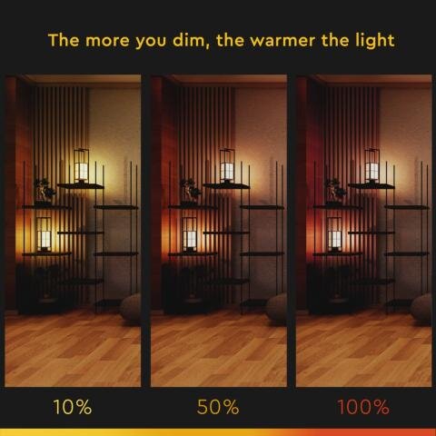 LED-Lichtquelle der Firma Steinhauer