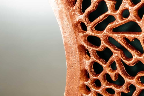 Wandspiegel ABSTRACT LEAF L der Firma Casa Élite