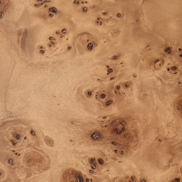 Kabinett Quinton der Firma Eichholtz