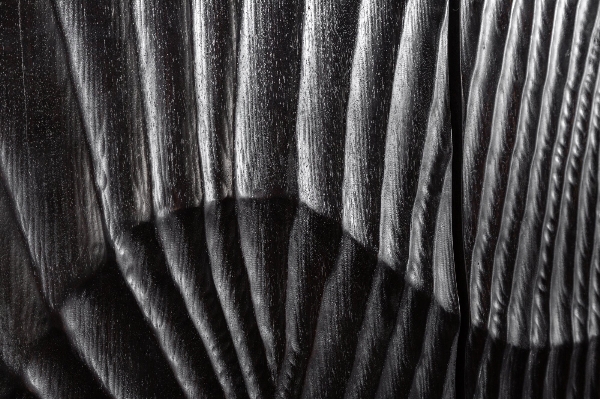 Barschrank SCORPION  der Firma Casa Élite