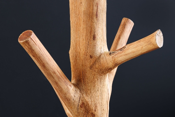 Stehleuchte TREE NATURE der Firma Casa Élite