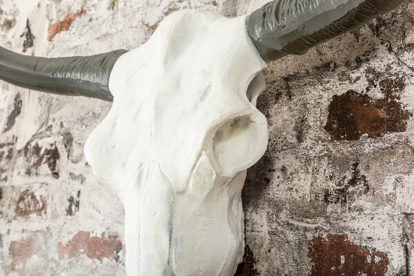 Wanddekoration Schädel EL TORO  der Firma Casa Élite