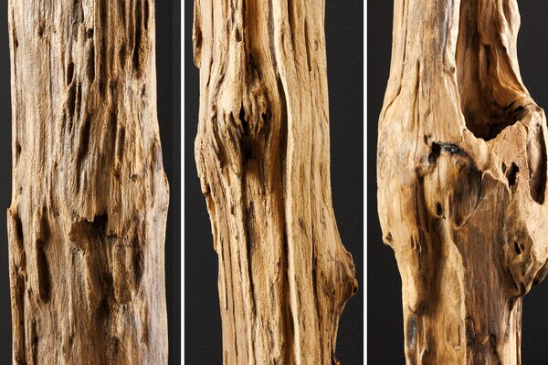 Skulptur REEF  der Firma Casa Élite