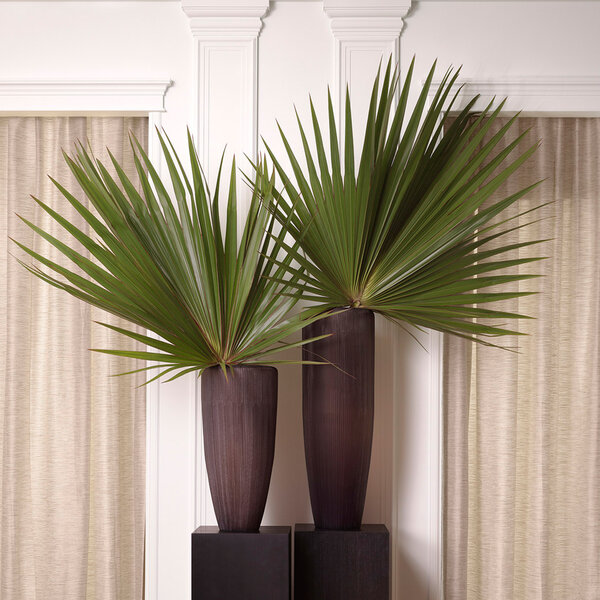 Vasen Isandro XL der Firma Eichholtz