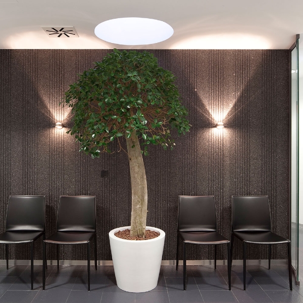 Puk Mini Wall der Firma Top Light Leuchten